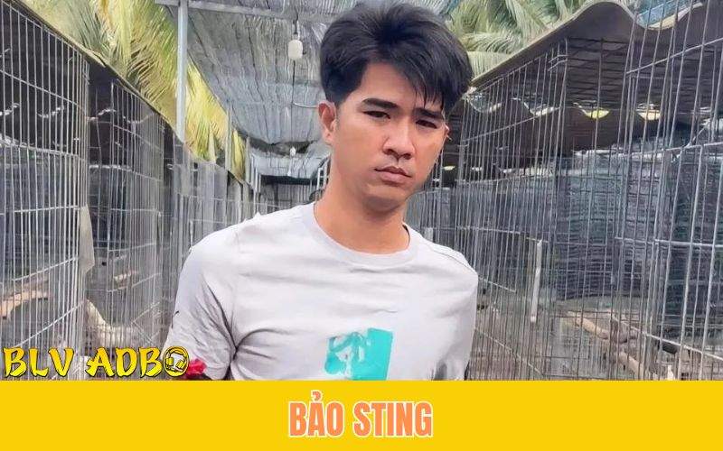Bảo Sting là sư kê sinh năm 1986 quê ở Tiền Giang