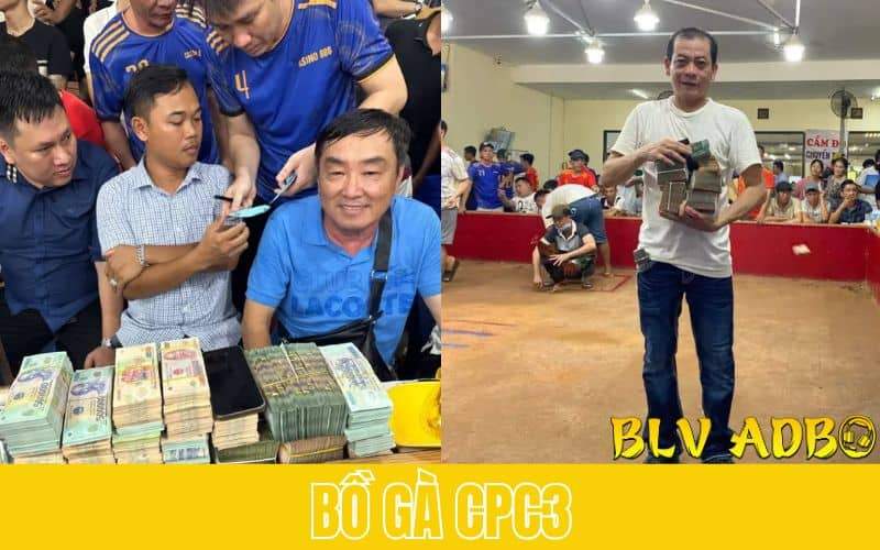 Giới Thiệu Về Bồ Gà CPC3 (Casino888)