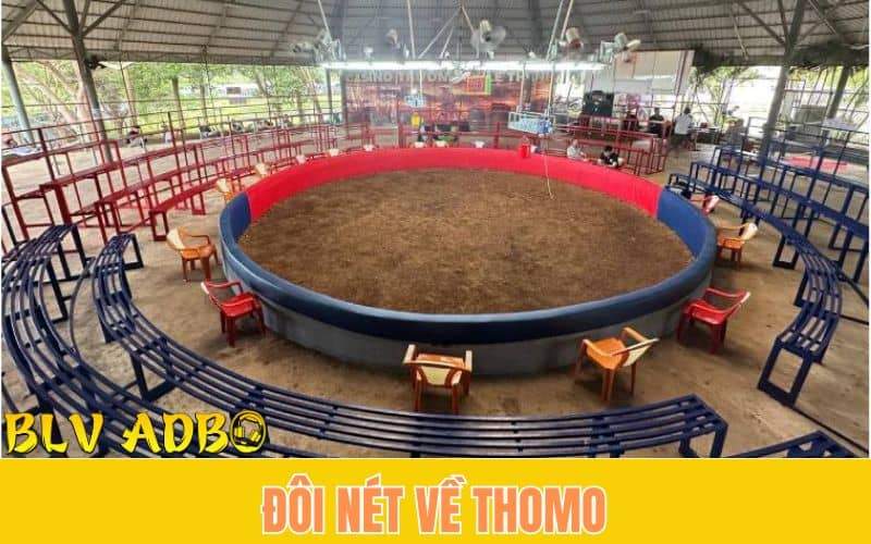 Thomo là gì?
