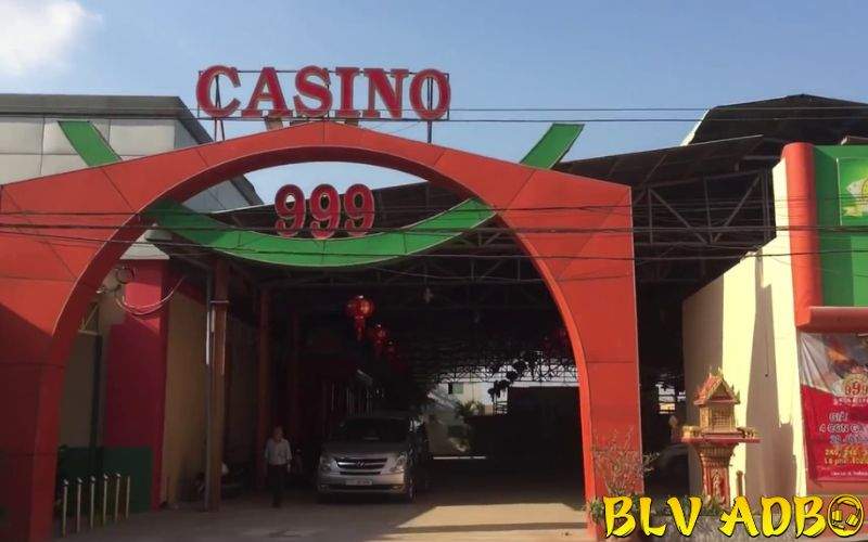 Thông tin tổng quan về bồ gà CPC2