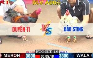 Trận 16 CPC1 20/06/2024 - Duyên Ti Vs Bảo Sting Xổ 2 Tỷ