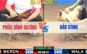 Trận 26 CPC2 02/06/2024 - Phúc Bình Dương Đụng Độ Bảo Sting