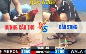 Trận 36 CPC3 24/06/2024 - Hưng Cần Thơ Đối Đầu Bảo Sting