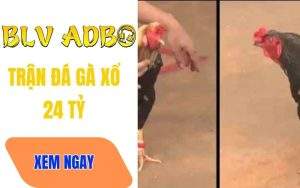 Trận Đá Gà 24 Tỷ Của Phúc Bình Dương Và Mít Trà Cú – Cơn Địa Chấn Thomo