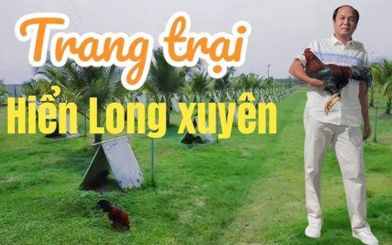 Trại Gà Hiển Long Xuyên Lớn Nhất Đông Nam Á