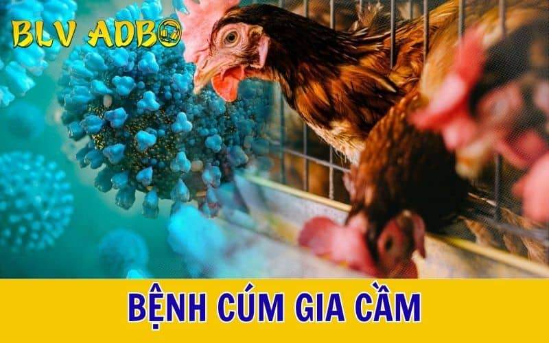 Bệnh cúm gia cầm Bệnh cúm gia cầm