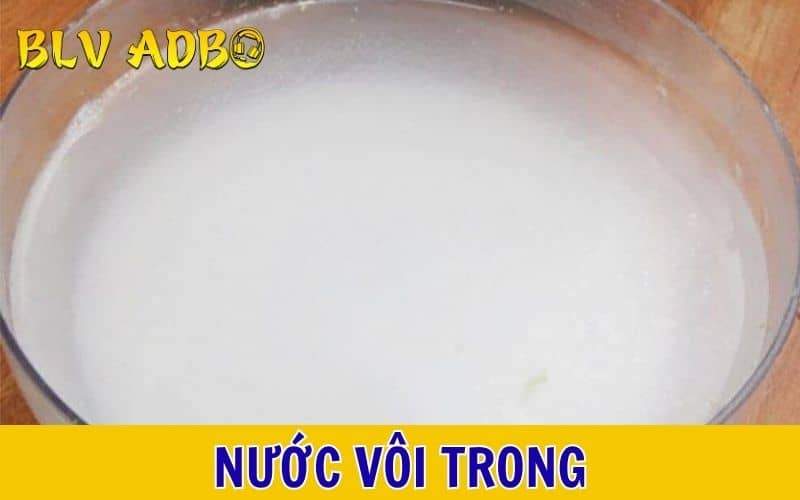 Nước vôi trong hỗn hợp thu được khi hòa tan bột vôi với nước để lắng Nước vôi trong hỗn hợp thu được khi hòa tan bột vôi với nước để lắng