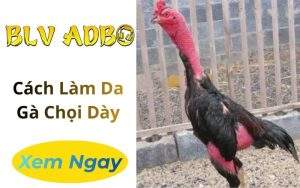Cách Làm Da Gà Chọi Dày