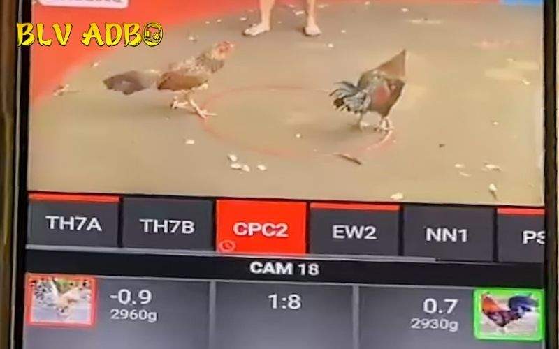 Người chơi nên nắm vững tâm lý khi đặt cược