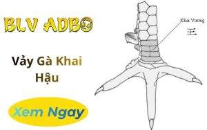 Vảy Gà Khai Vương