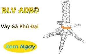 Vảy Gà Phủ Địa