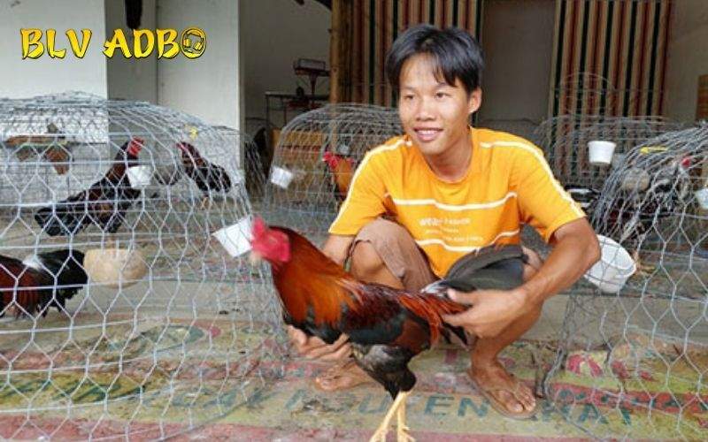 Vệ sinh cơ thể chiến kê thật sạch sẽ