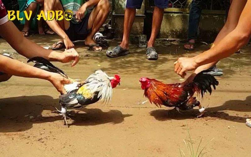 Với những lỗi nhỏ có thể dẫn đến kết quả thua Với những lỗi nhỏ có thể dẫn đến kết quả thua